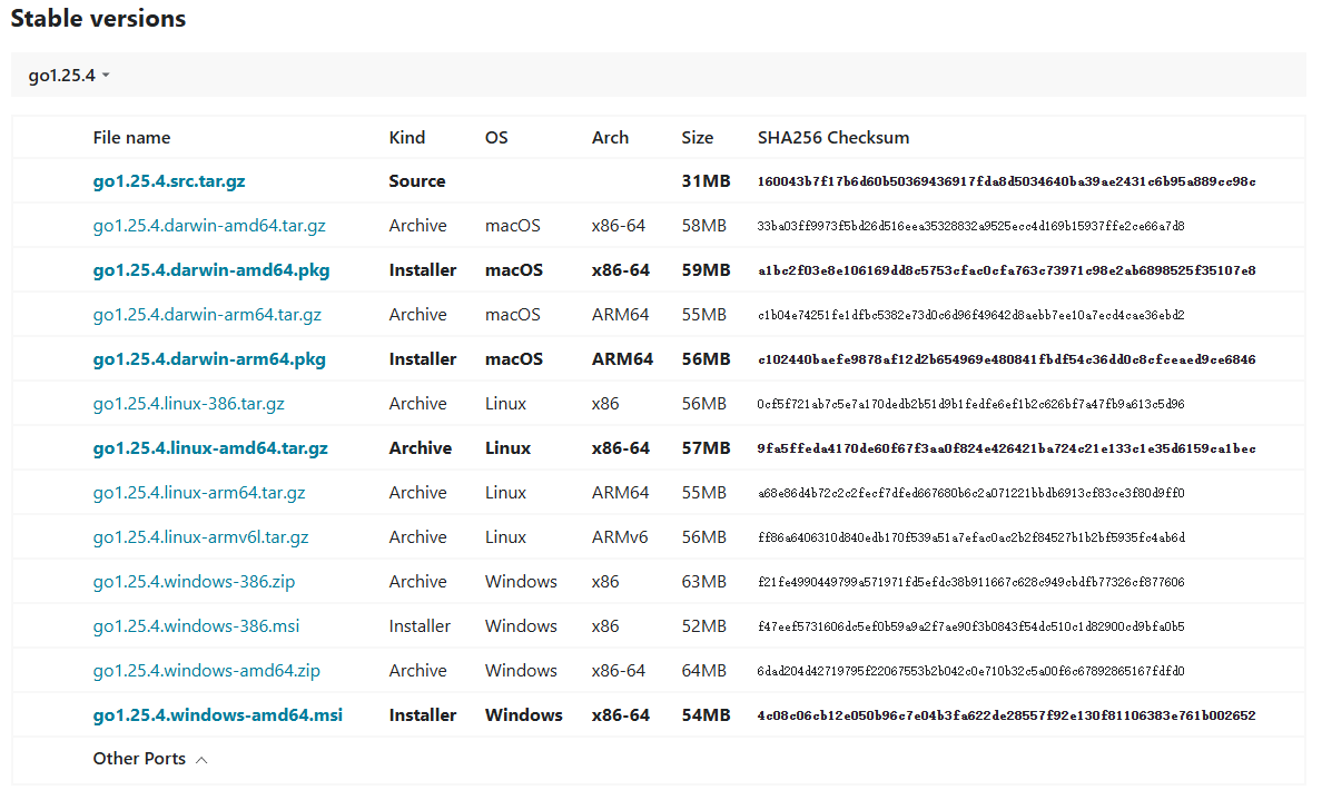 image-20251118160132504